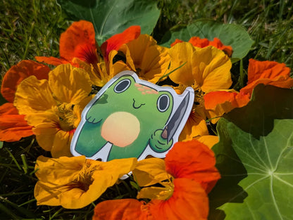 Knife frog magnet
