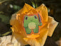 Knife frog pin